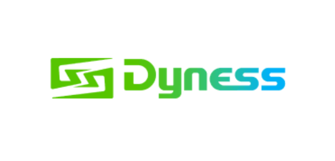 Dyness