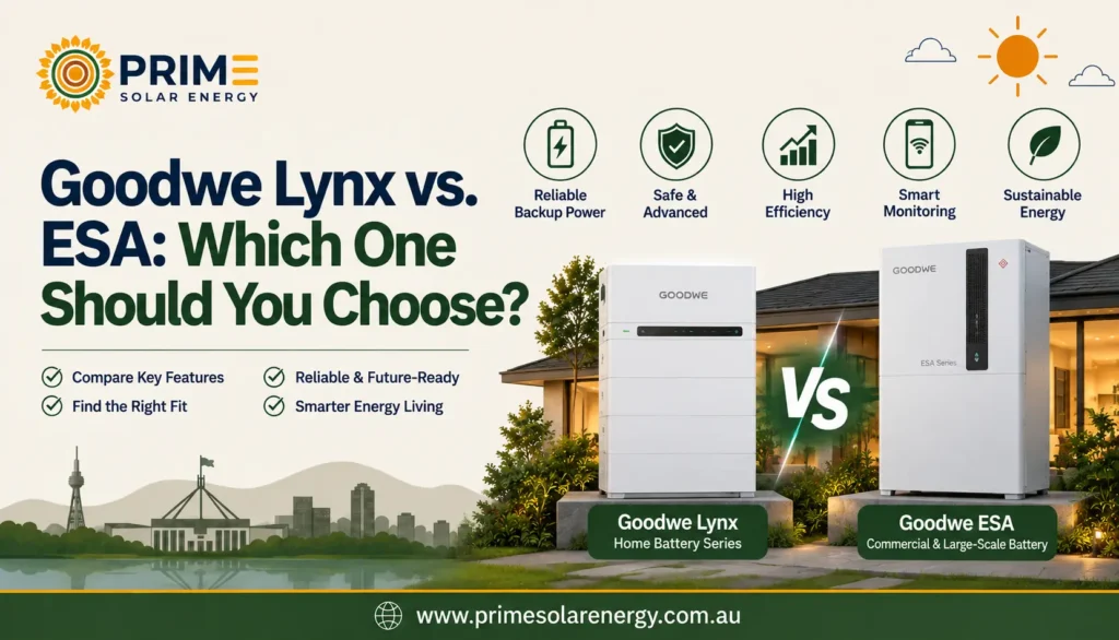 GoodWe Lynx vs. ESA