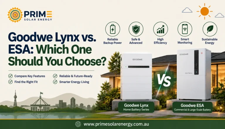 GoodWe Lynx vs. ESA
